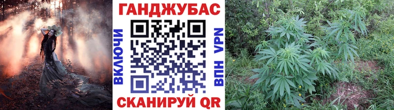 Наркошоп купить КОКАИН  МЕТАДОН  МЕФ  Гашиш  Амфетамин  Марихуана  A PVP  Тарко-Сале
