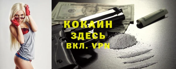 гидропоника Кодинск