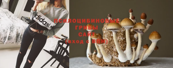 гидропоника Кодинск