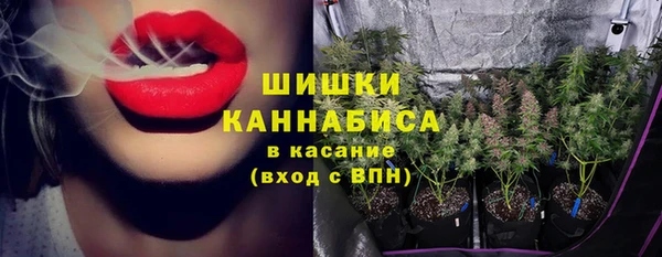 mix Козельск