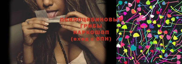 mix Козельск