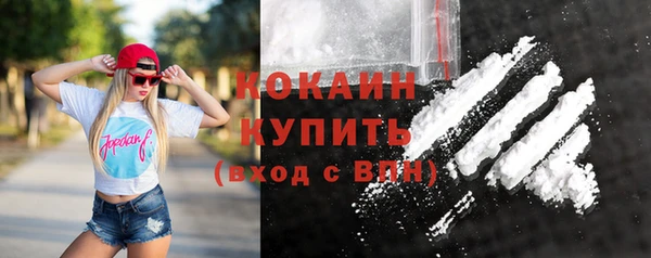 гидропоника Кодинск